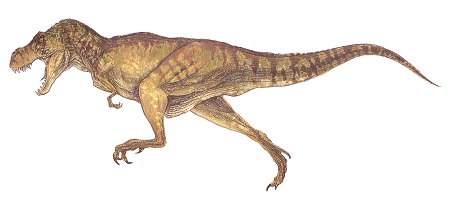 Tyrannosaurus Rex vs Carnotaurus Dinosaur