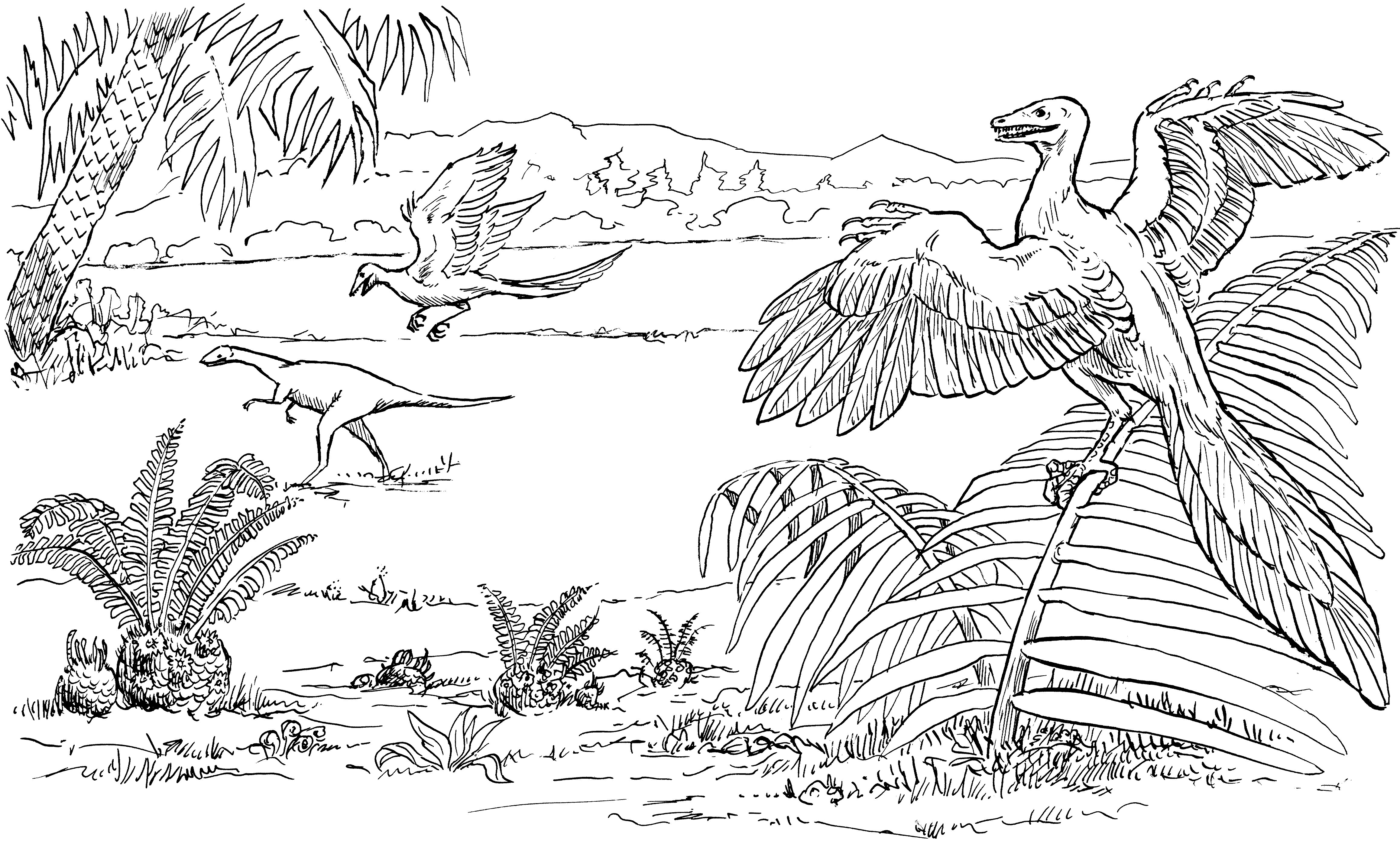 free Archaeopteryx coloring page