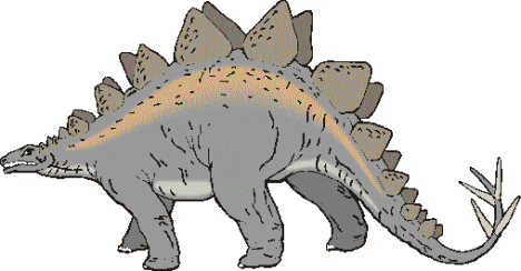 stegosaurus dinosaur for kids