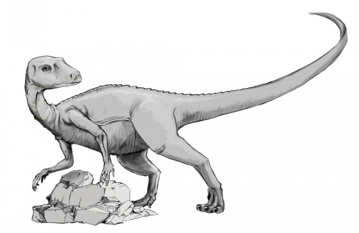 Abrictosaurus Coloring Pages for Kids