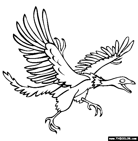 Archeopteryx Coloring Page for kids