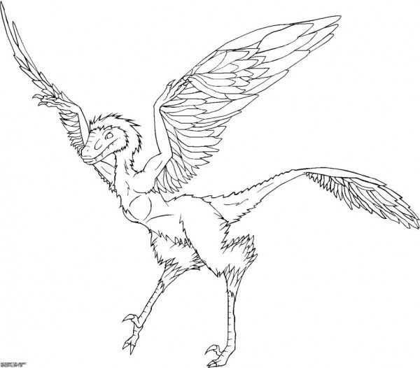 Download Microraptor Coloring pages | Dinosaurs Pictures and Facts