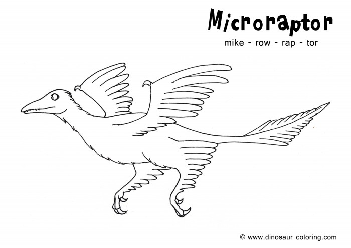 Microraptor Coloring Sheet