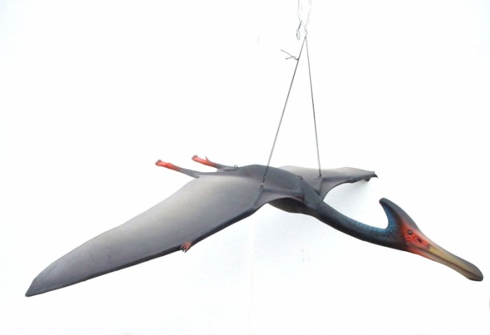 pteranodon cool facts