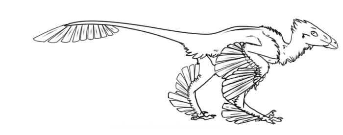 Microraptor Color Microraptor free lines