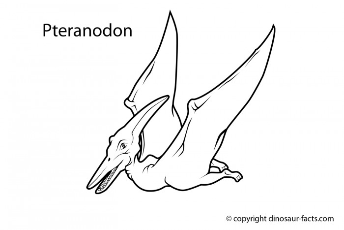 pteranodon dinosaur coloring page free