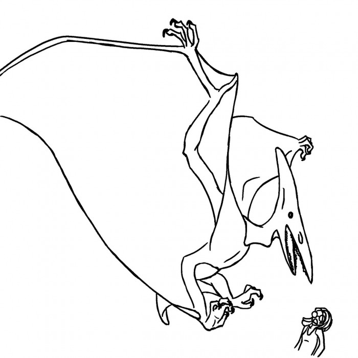 Pteranodon coloring pages online